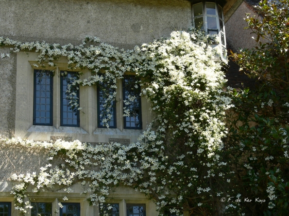Bois des moutiers (168) Mai 2012